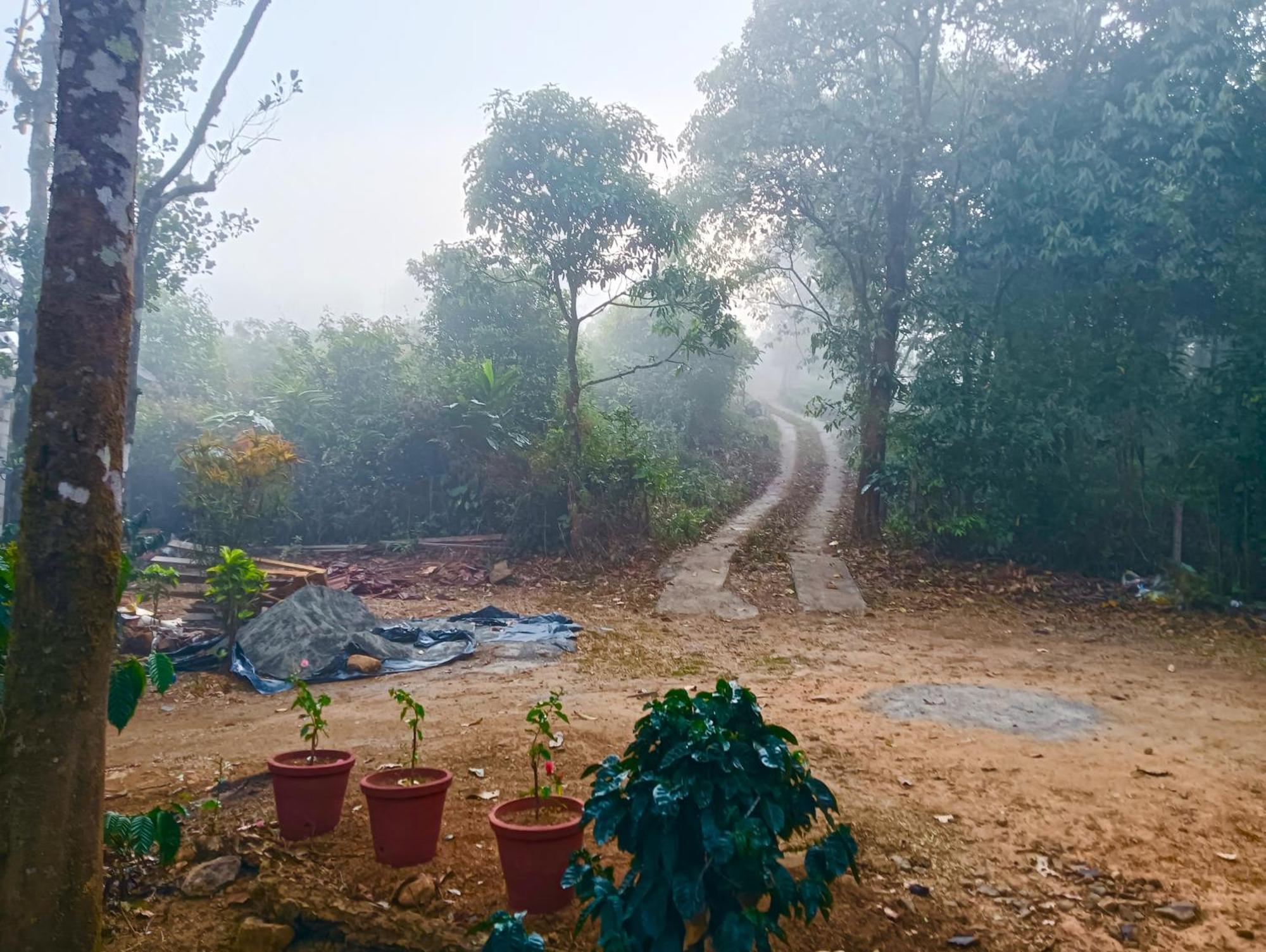 Tharayil Farm Stay バガモン エクステリア 写真