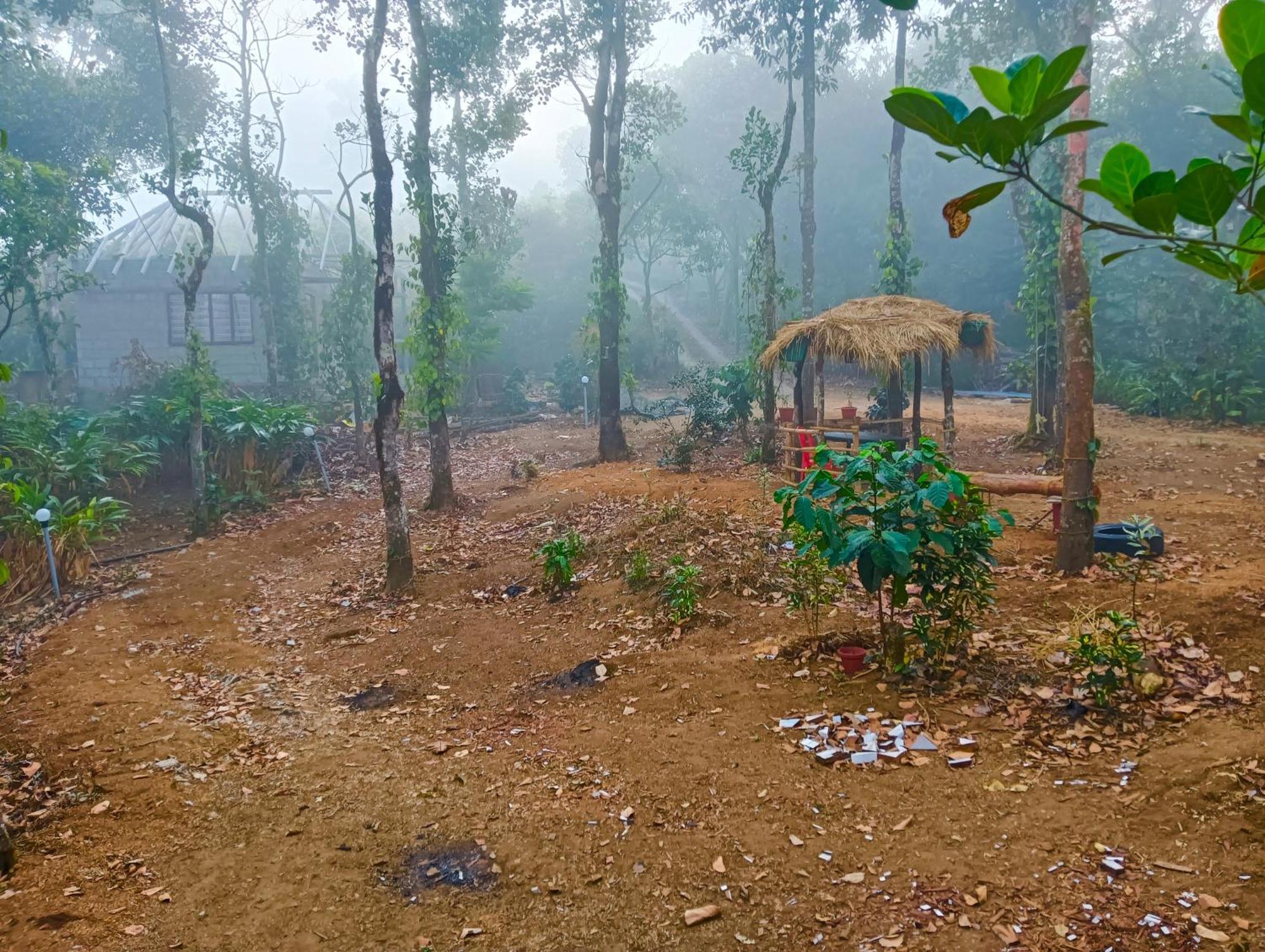 Tharayil Farm Stay バガモン エクステリア 写真